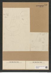Diatomeae indet. Zeichnungen Sammlung Grunow Nr. 7736 (NHMW-BOT-W0376954)